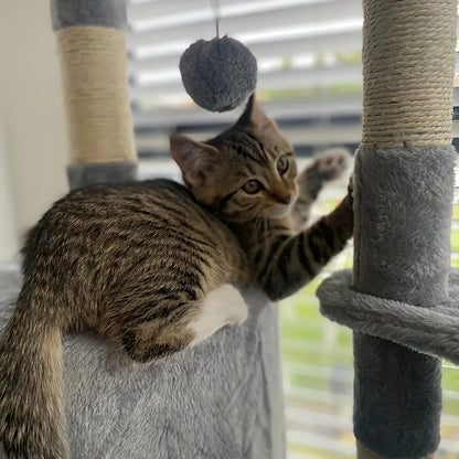 52-inch Cat Tree Tower Apartment Furniture