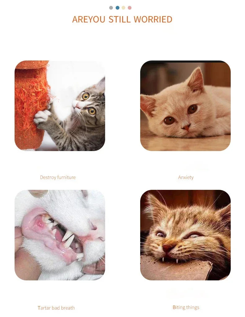 Interactive Colored Ribbon Cat Teaser Wand