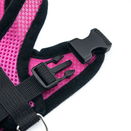 Breathable Dog & Cat Harness
