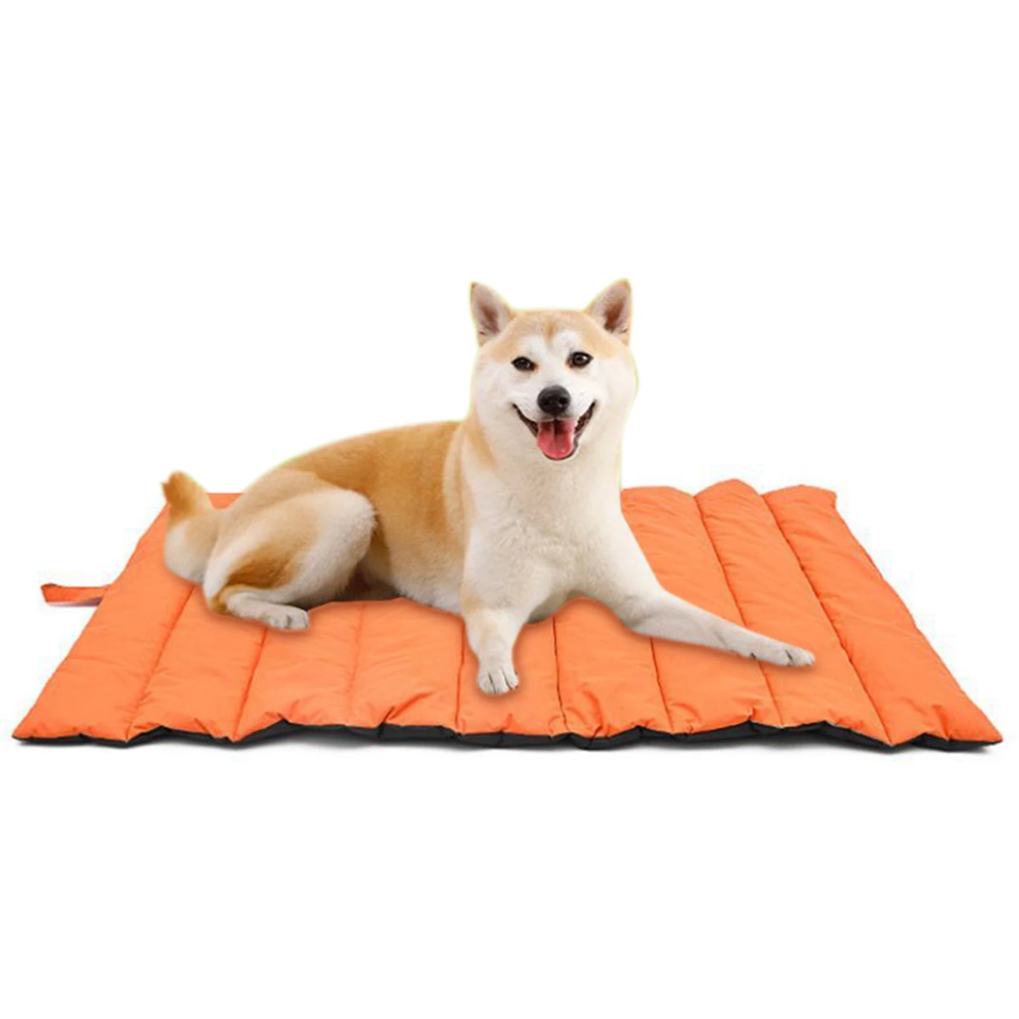 Portable Outdoor Waterproof Pet Camping Mat