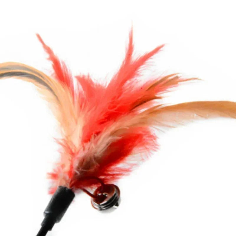 Interactive Cat Feather Bell Rod Toys
