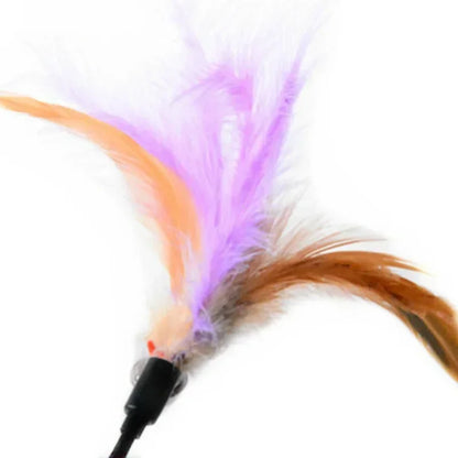 Interactive Cat Feather Bell Rod Toys