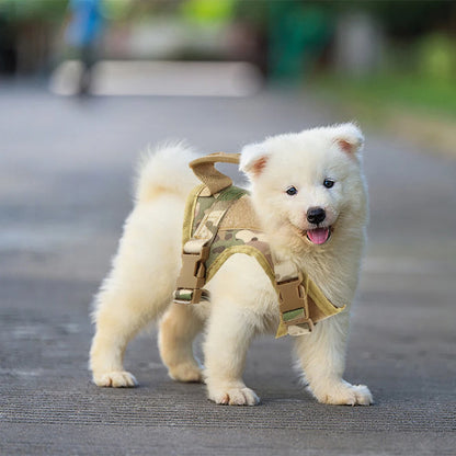Adjustable Tactical Puppy Harness Leash Kit