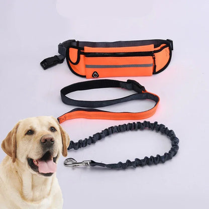 Hands-Free Reflective Running Dog Leash