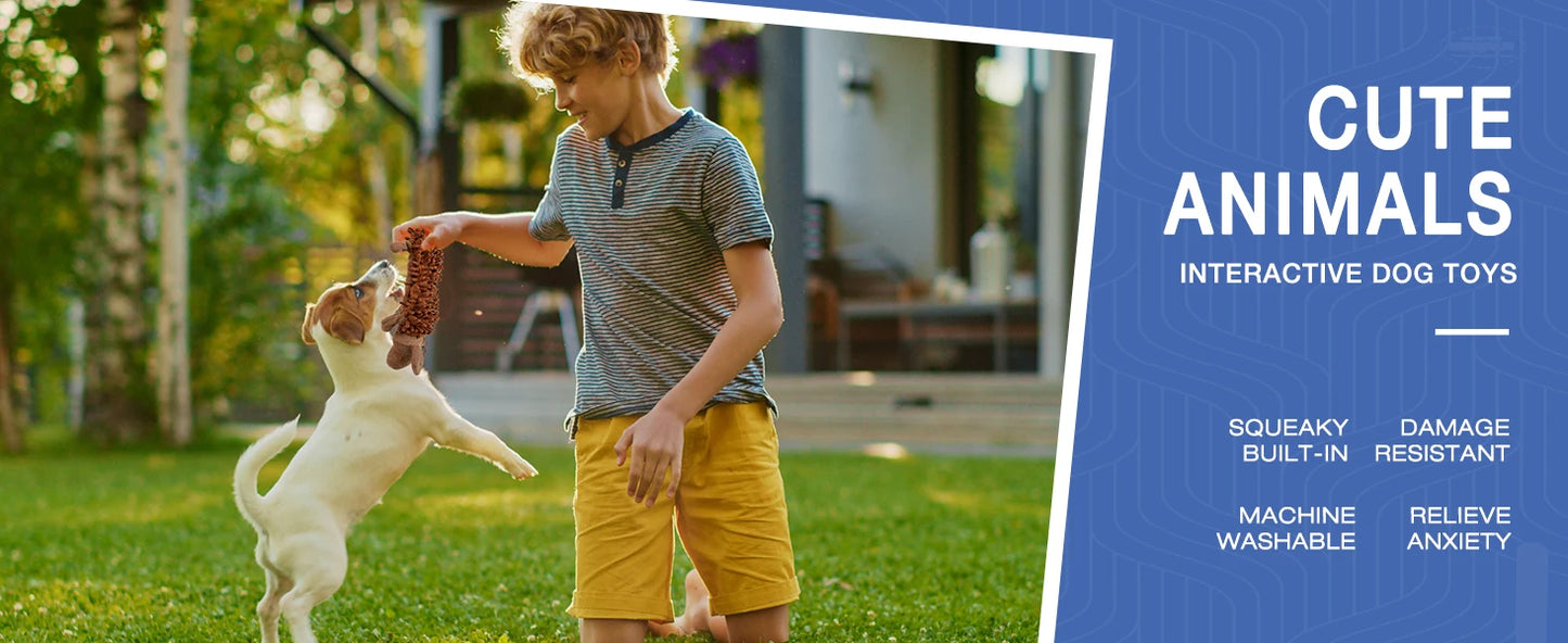 Plush Dog Chew Squeaky Toy