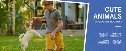 Plush Dog Chew Squeaky Toy