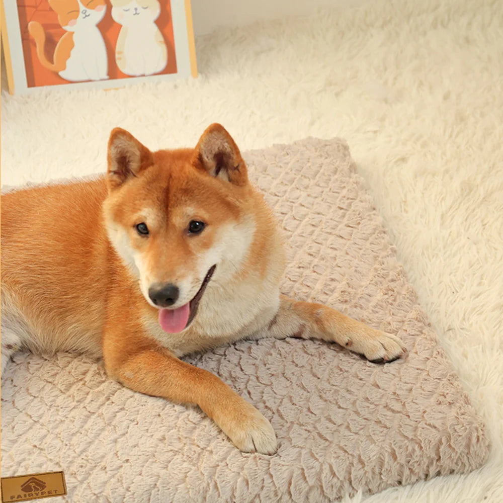 Orthopedic 3D Foam Waterproof Dog Bed