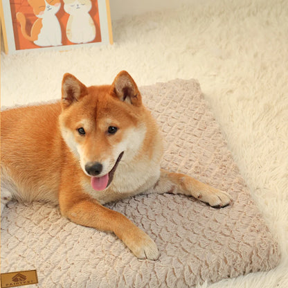 Orthopedic 3D Foam Waterproof Dog Bed