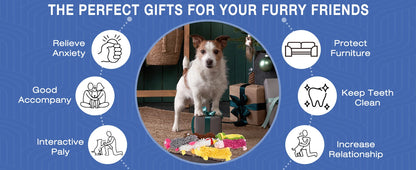 Plush Dog Chew Squeaky Toy