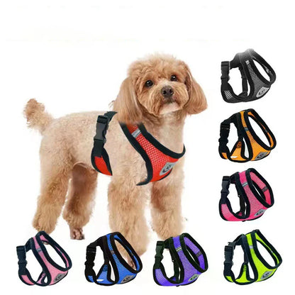 Breathable Dog & Cat Harness
