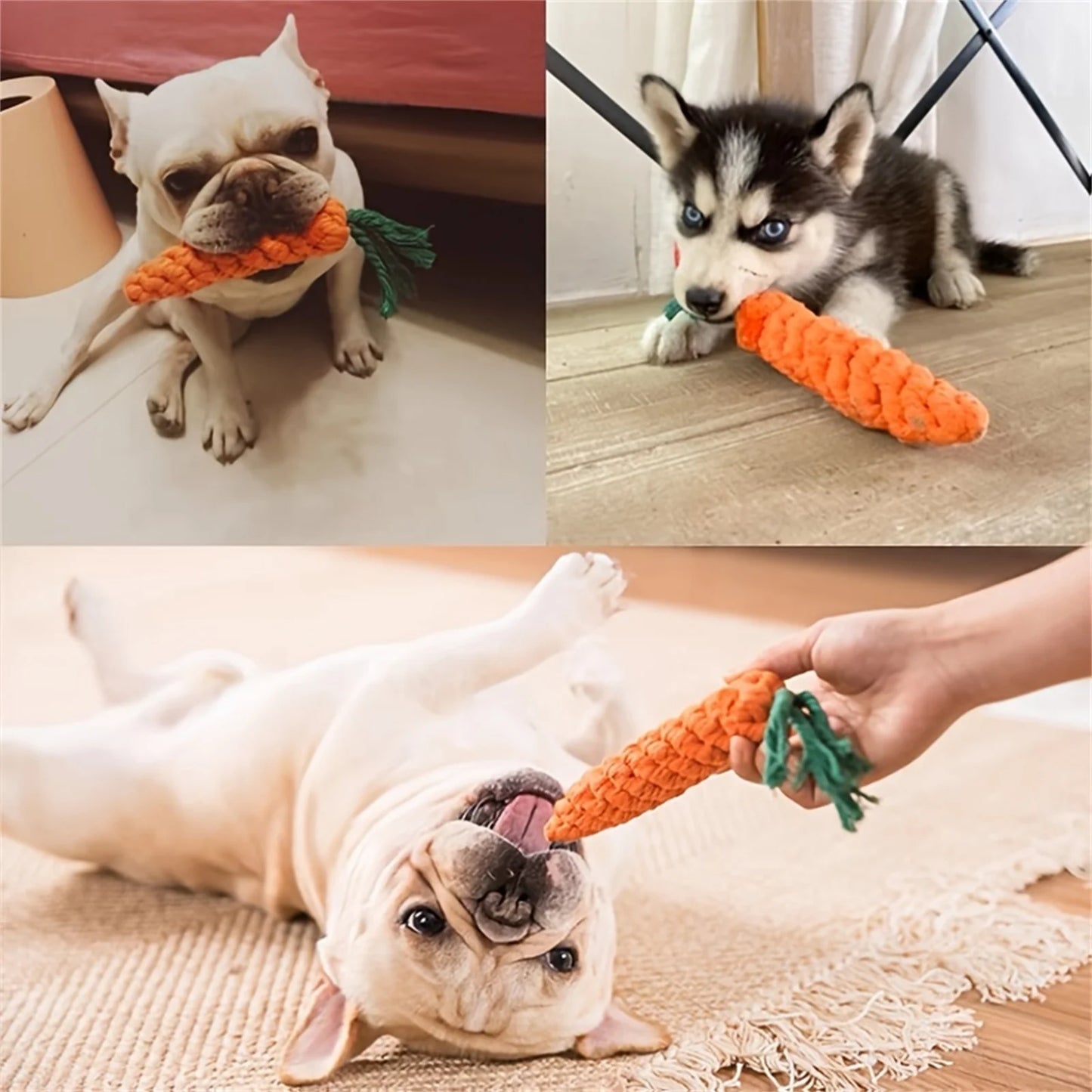 Bite-Resistant Carrot Rope Dog Toy